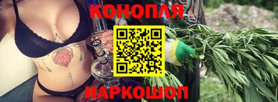 стаф Новозыбков