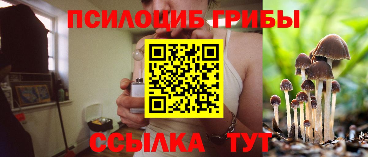 Урюпинск  Псилоцибиновые грибы MAGIC MUSHROOMS  Псилоцибиновые грибы Psilocybine cubensis  Вход с VPN 